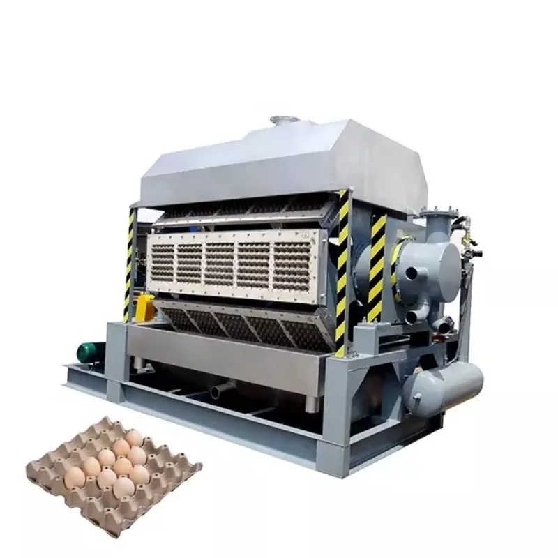 YG 4*8 Model Semi-automatic Egg Tray Machine Cost Efficient Pulp Molding Equipment For Egg Processing Factory Customized