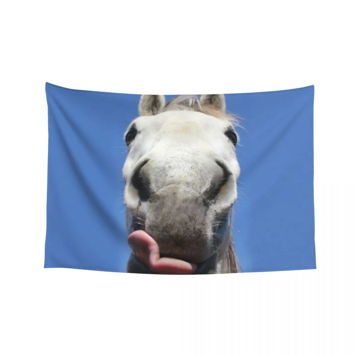 

Horse Licks Tapestry Hanging Wall Korean Room Decor Aesthetic Room Decorations Decorative Paintings Tapestry