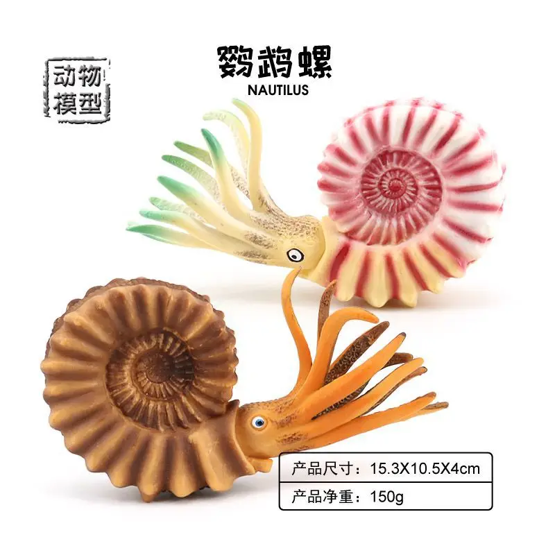 Figurine de simulation sous-marine pour enfants, amulette de créature, modèle de Nautilus, plastique solide, jouet pour enfants, figurine d'ornement