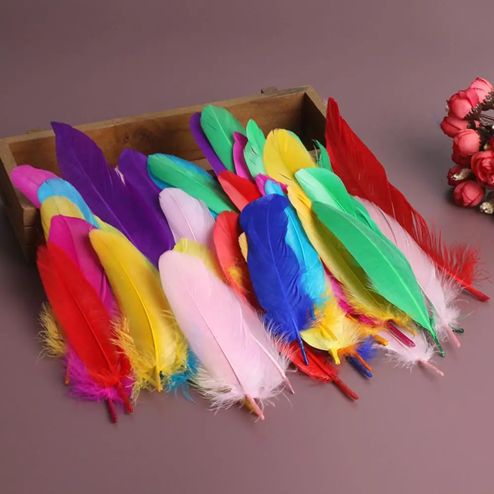 50 stks/set Kleurrijke Natuurlijke Veren Kinderen Volwassenen DIY Veer Ambachten Dream Catcher Home Party Decoraties Echte Feather Kit