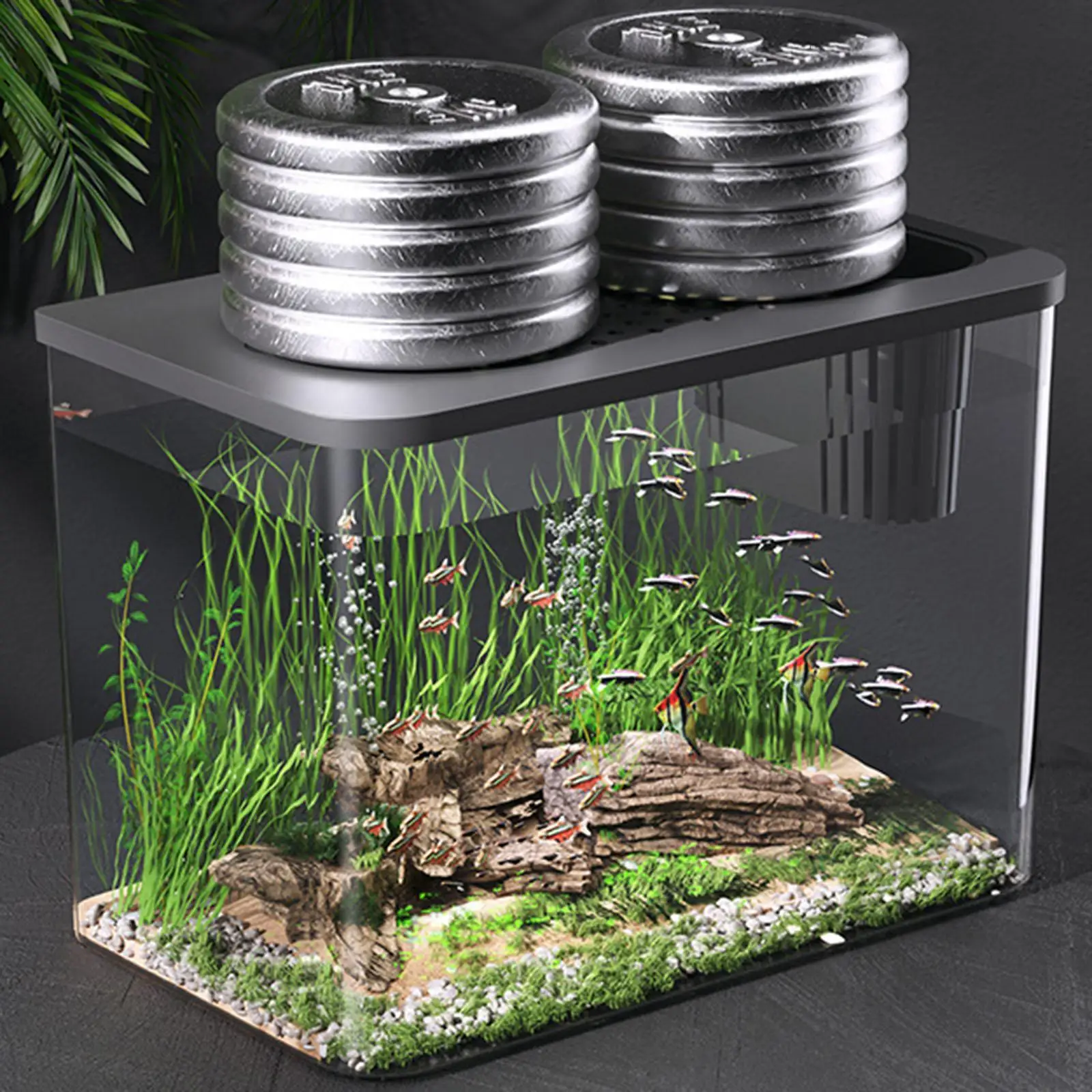 

Reptile Terrarium Amphibian Feeding Box Desktop Clear View Small Fish Aquarium Tank for Frog Terrapin Crayfish Hermit Crabs