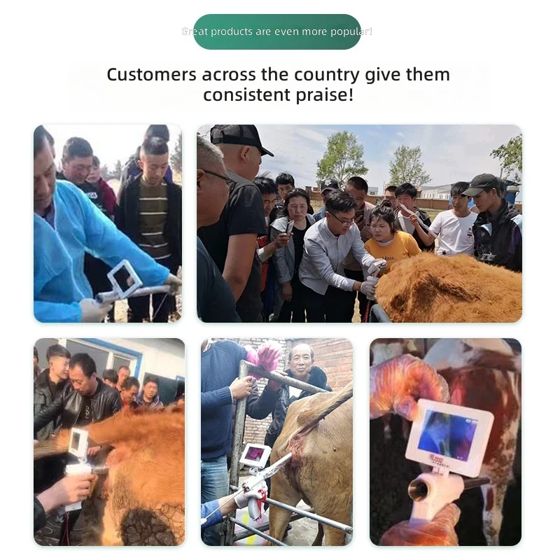 AI Semen Gun, Visual Insemination Tool, Reliable for Cattle, Horses, Dogs, Sheep, Constant Temperature Heating Device Set