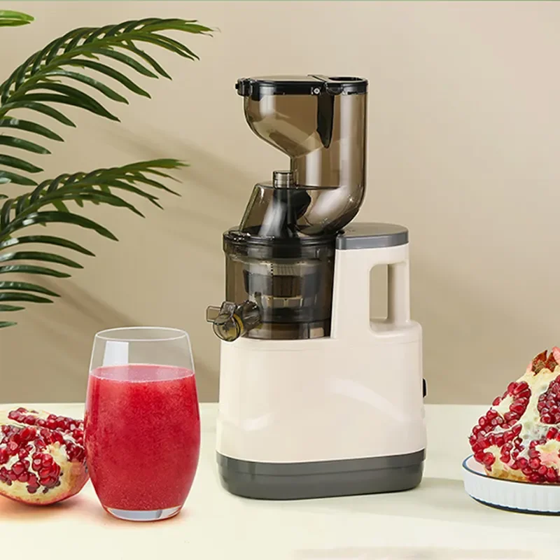 Small Household Juicer Large Capacity Free Filter Apple Pear Juicer Slow Juicer
