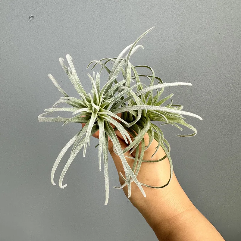 Artificial Succulen…