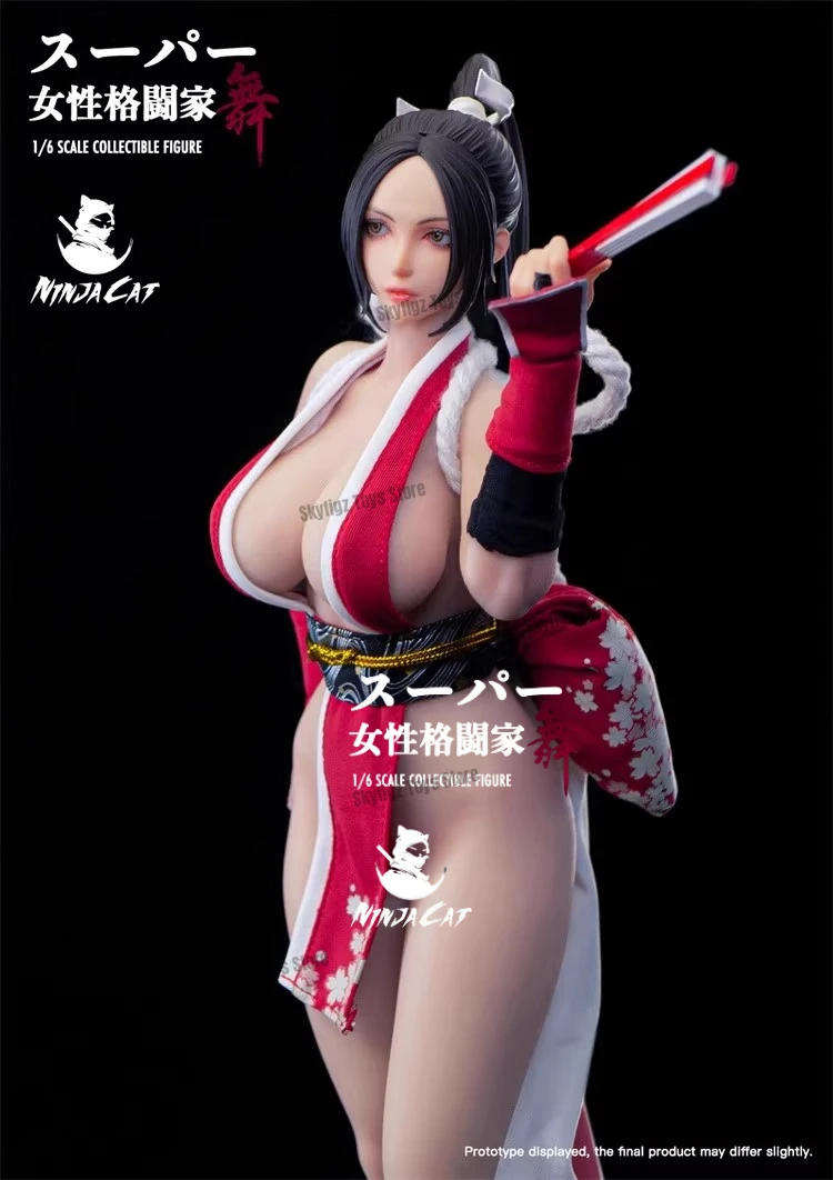 Ninja Cat N001 Scala 1/6 Occhi mobili Testa Action Figure Corpo 12 '' Soldato femminile Figurine in silicone Set completo Modello da collezione