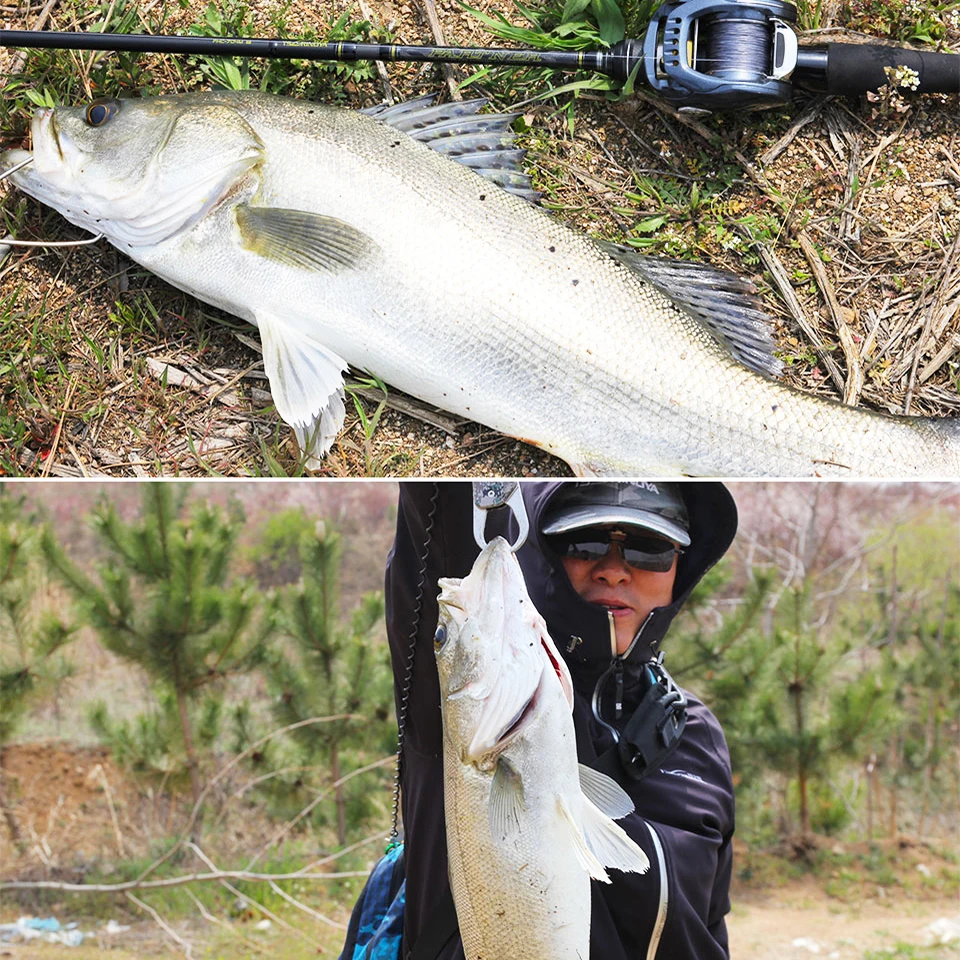 Imagem -06 - Tsurinoya-partner Lure Rod Spinning e Fundição Vara de Pesca Carbono Lure Rod Acessórios Rápidos Fuji Seção ml m Poder 1.98m 2.13m