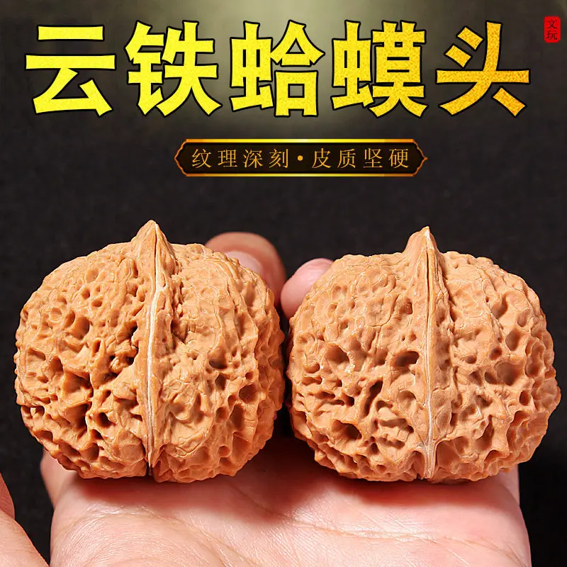 Original Color Yunnan Iron Toad Head Walnut High Density Handheld Collection Pocket Daily Stress Relief Unisex Fidget 33 34 35mm