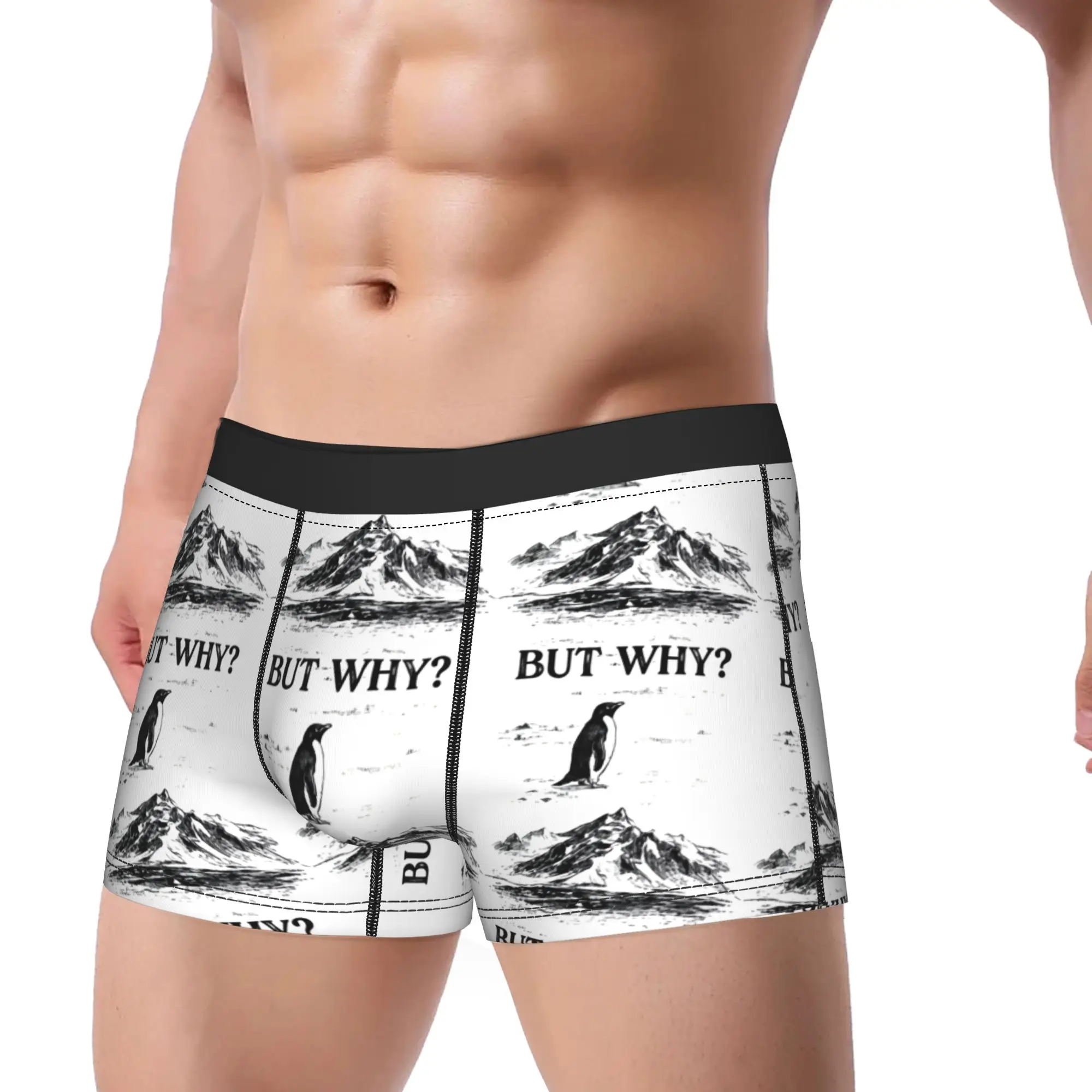 

But Why Penguin Underwear Male Underpants Design Elastic Boxershorts Quality Boxer Brief Plus Size