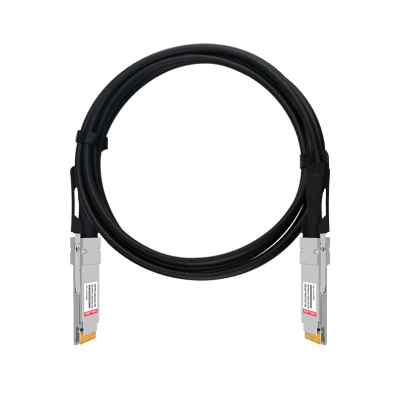 400G DAC 케이블 QSFP-DD - QSFP-DD 0.5m 1m 1.5m 2m 3m 직접 연결 구리 DAC 케이블 (Cisco, Mellanox, Mikrotik 호환)