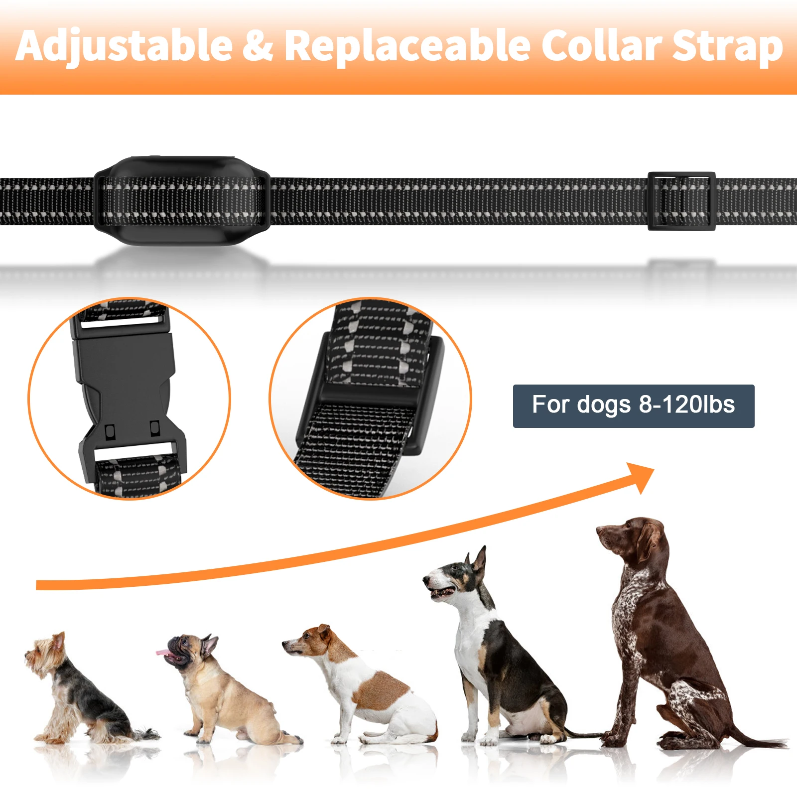 2 Dogs Pet Cat Collar Shock Training & Behavioral Aid Products Anti Bark Accessories Appliances Wireless Remote Control Big Dogs