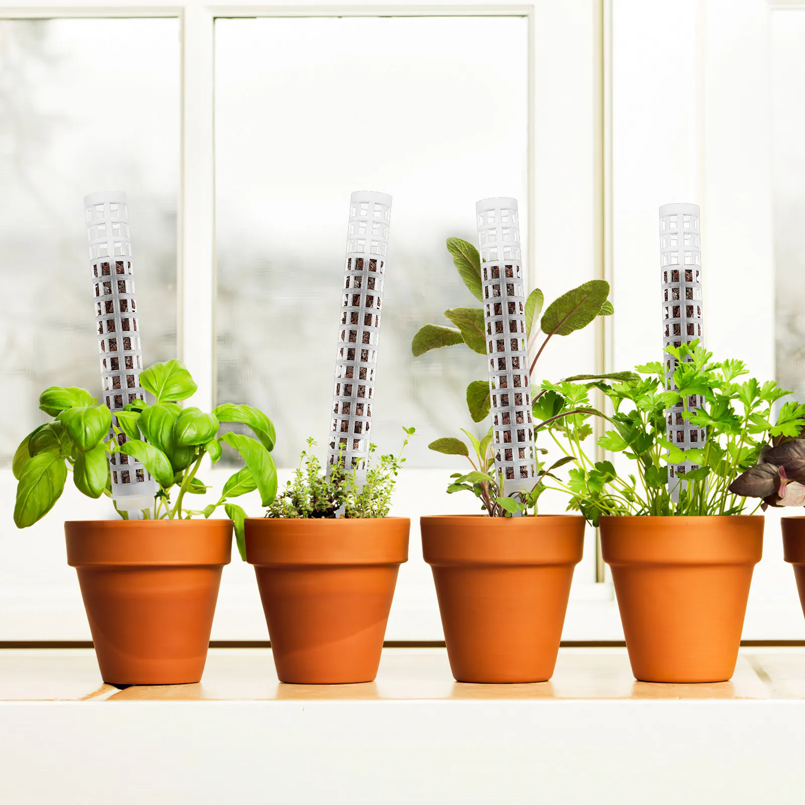 

6Pcs Plastic Moss Poles for Potted Plants Monstera Vines Climbing Plants Indoor Plant Support Stakes Reusable Mold Resistant