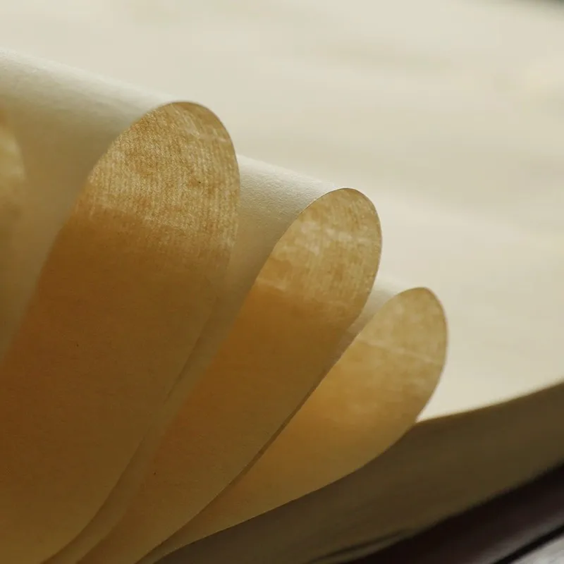 30 Sheets Xuan Paper for Calligraphy - Semi-Raw/Semi-Ripe Rice Paper - Small Regular Script Practice 34x69 cm