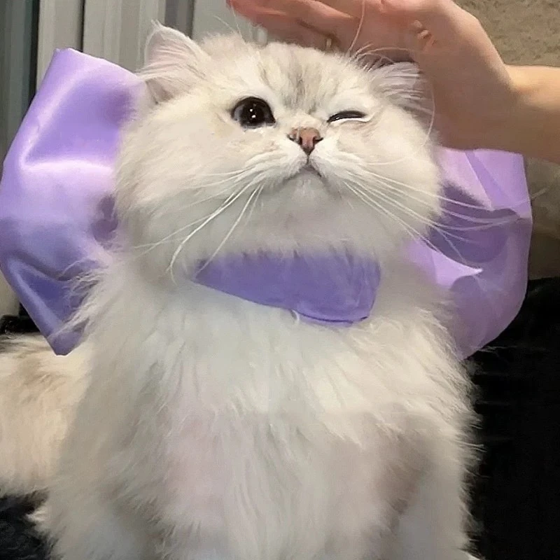 Variant: Purple bowknot