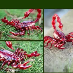 RC Remote Control Scorpion Toy Children's  Scary Tricky Toys