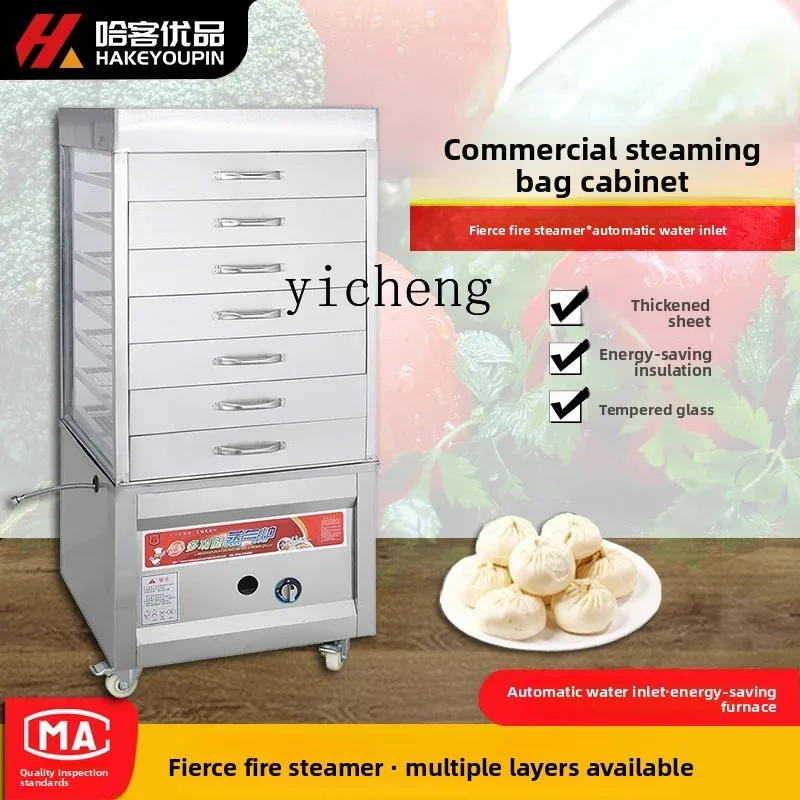 H5 1 commercial steam drum furnace gas multi-functional electric steam drum glass cabinet steam furnace