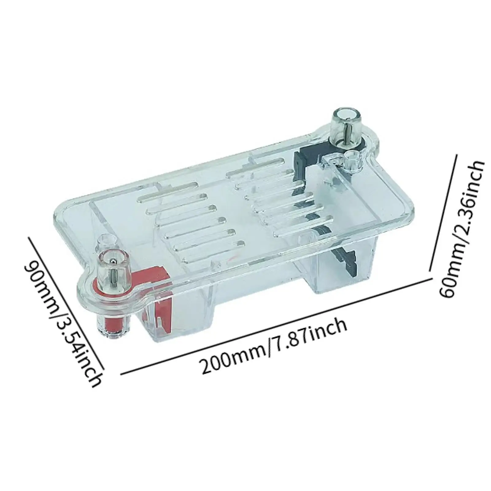 Projetos de experimentos de aparelhos de eletroforese, equipamento experimental de biologia de aprendizagem resistente para estudantes de meninos e meninas do ensino médio
