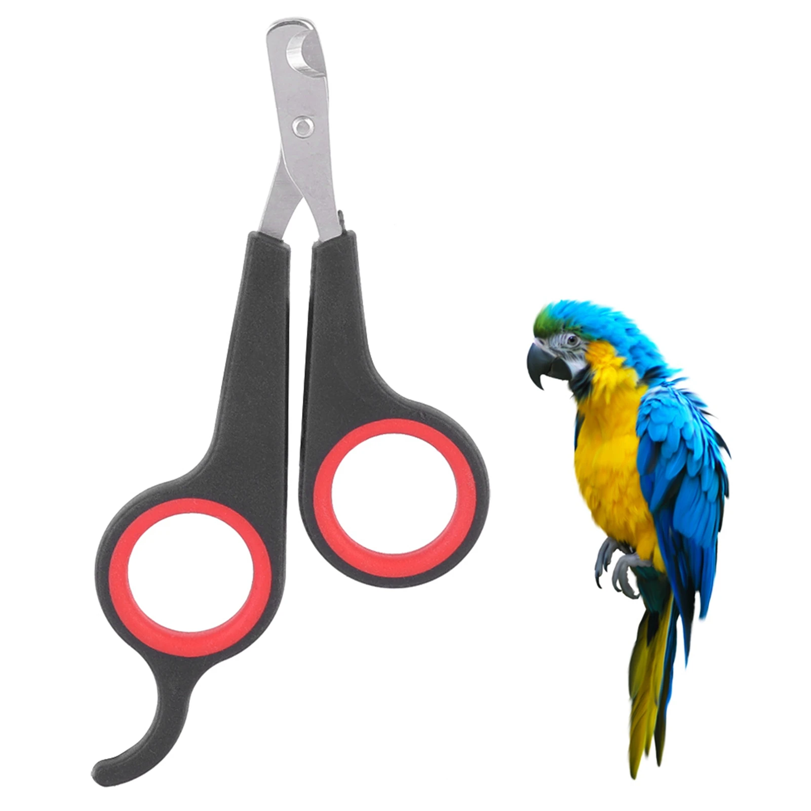 Cortauñas para pájaros, tijeras para uñas para loros, accesorios para animales pequeños, herramienta de aseo, tijeras para uñas, cortaúñas en negro y rojo