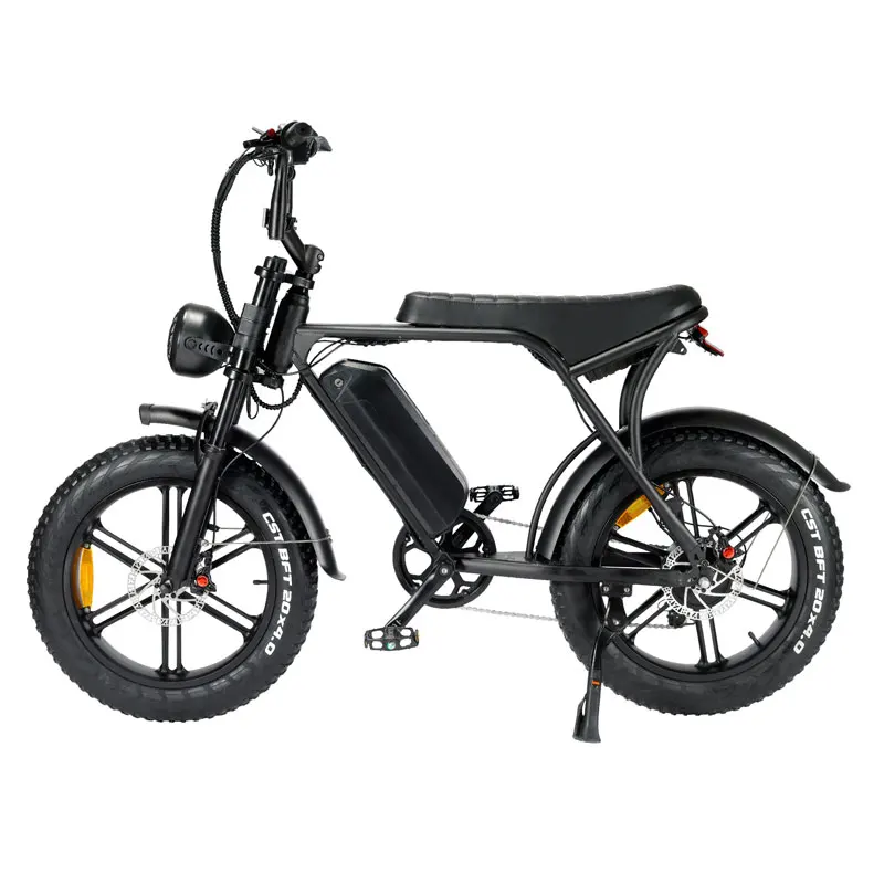 Electric Bicycle Electric Fat Tire Bike Top Factory  V8 Fat Tire Bike Double disc brake Mountain Bike Vintage