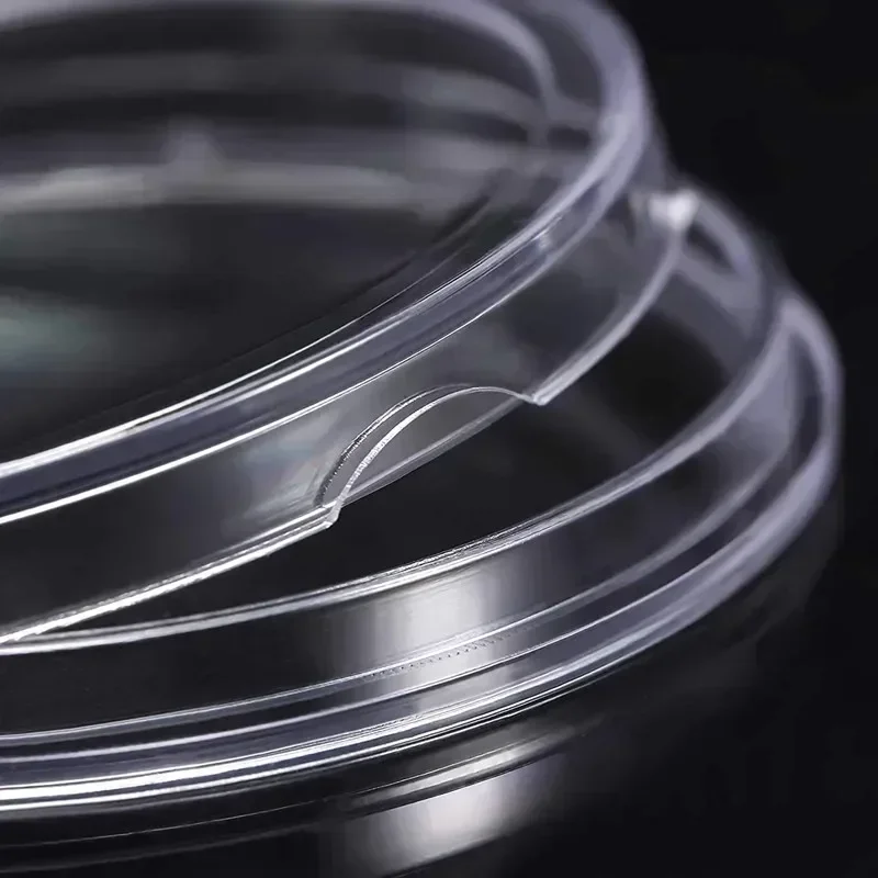 10/20 Pcs 18-40mm Transparent Plastic Coin Capsules Coin Storage Capsules Protective Case Coin Storage Case Collector Case