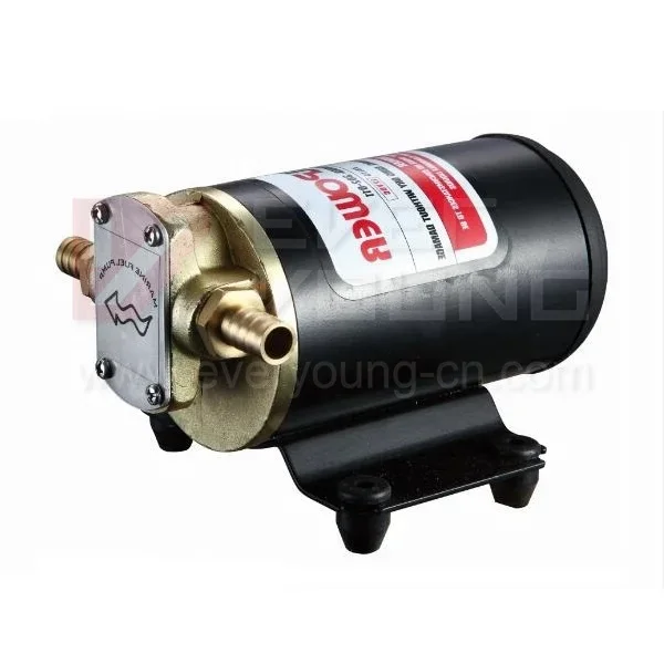 

Oil extractor Pump 14L/min CE certification 12v gear pump oil transfer Lubrication pump