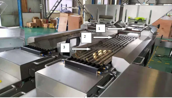 Macchina elettronica automatica per il conteggio delle vitamine e il rifornimento di bottiglie