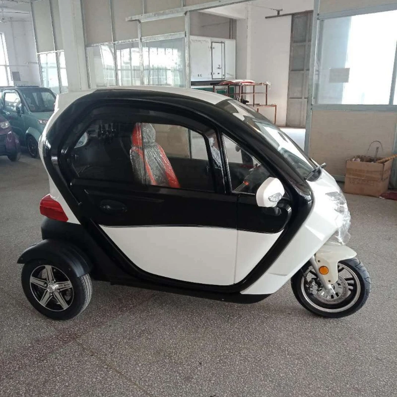 New energy fully enclosed two-door three-seat adult transportation electric tricycle 1000W