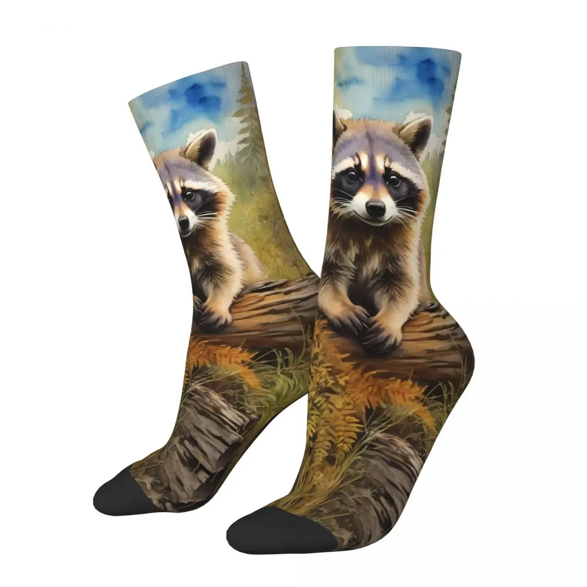 Raccoon Sock Printed Man Polyester