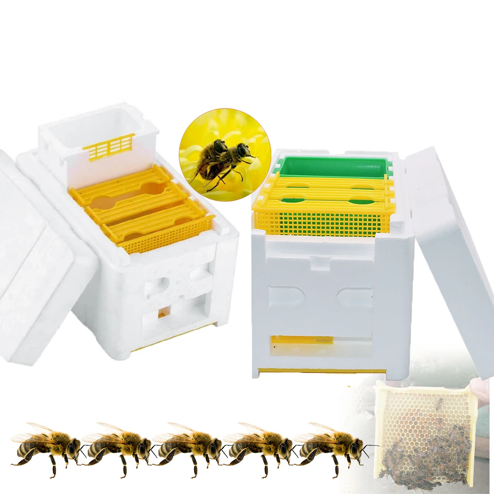 1PCS Bee Mating Breeding Box Incubator Apiary Breeding Foam Insulation Pollination King Rearing Equipment Bees Tools Apiculture