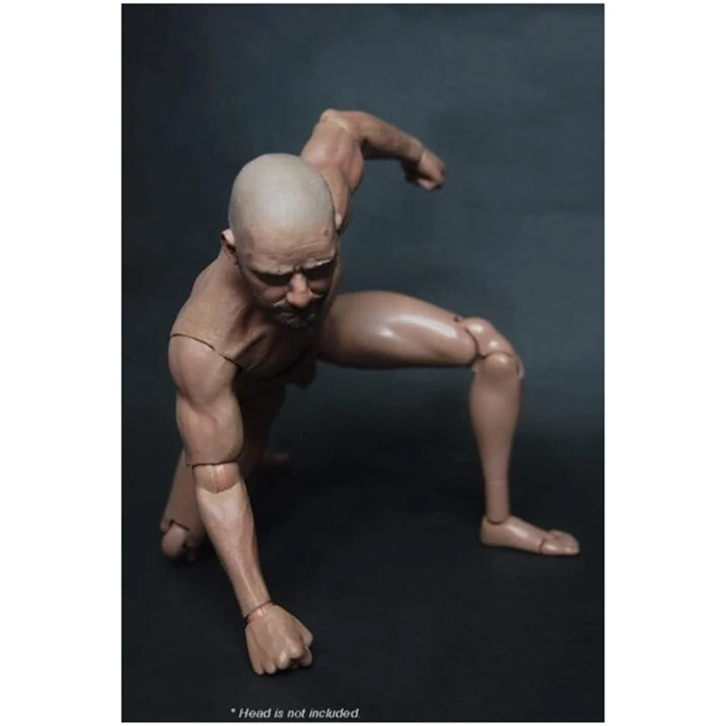 Narrow Shoulder Male Body Doll Action Figure For TTM18 TTM19 Hot Toys & Human Body Sketch Model