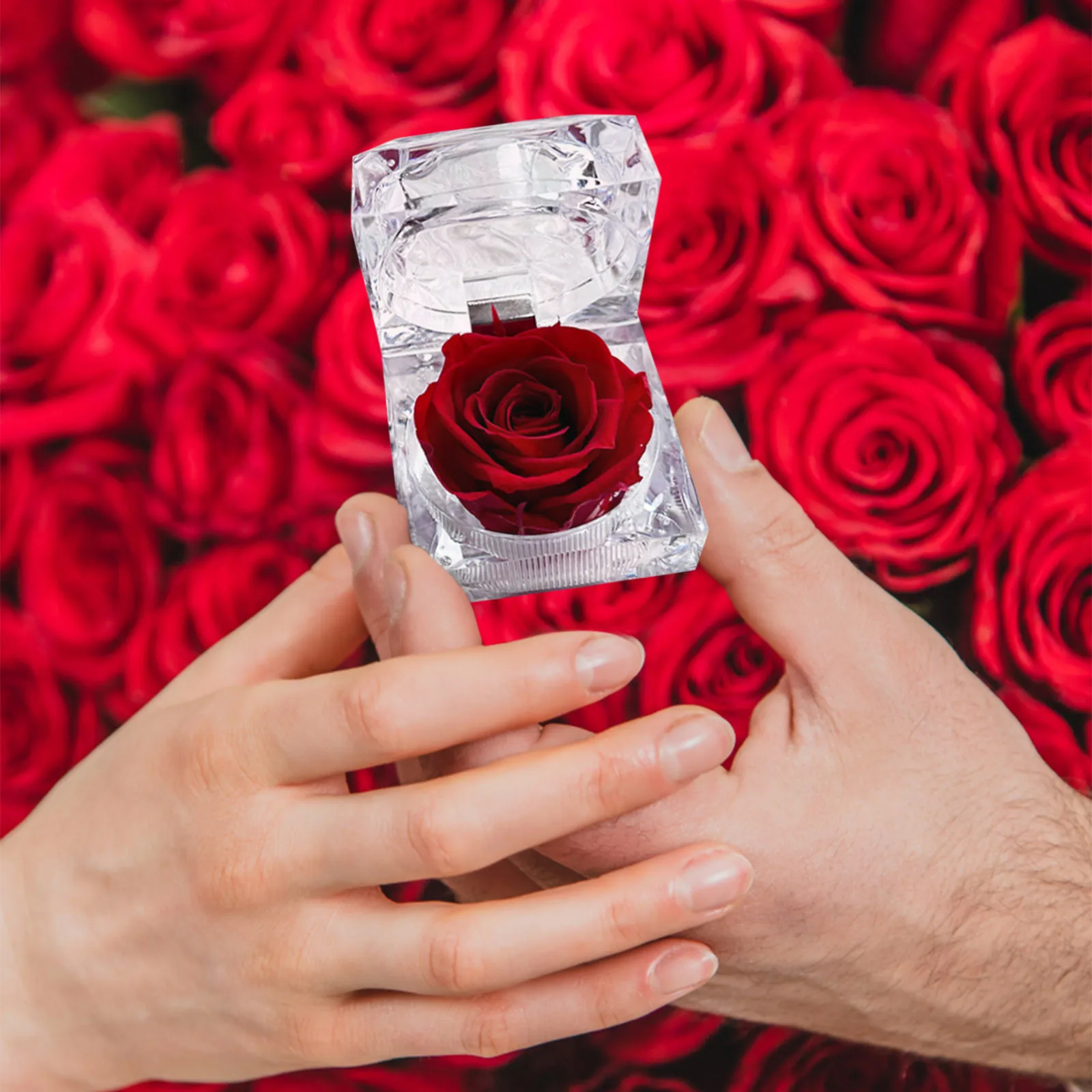 Preserved Rose In Crystal Box Realistic Flower Gift Valentine's Day Anniversary Romantic Decor Present Her Birthday Surprise image 6