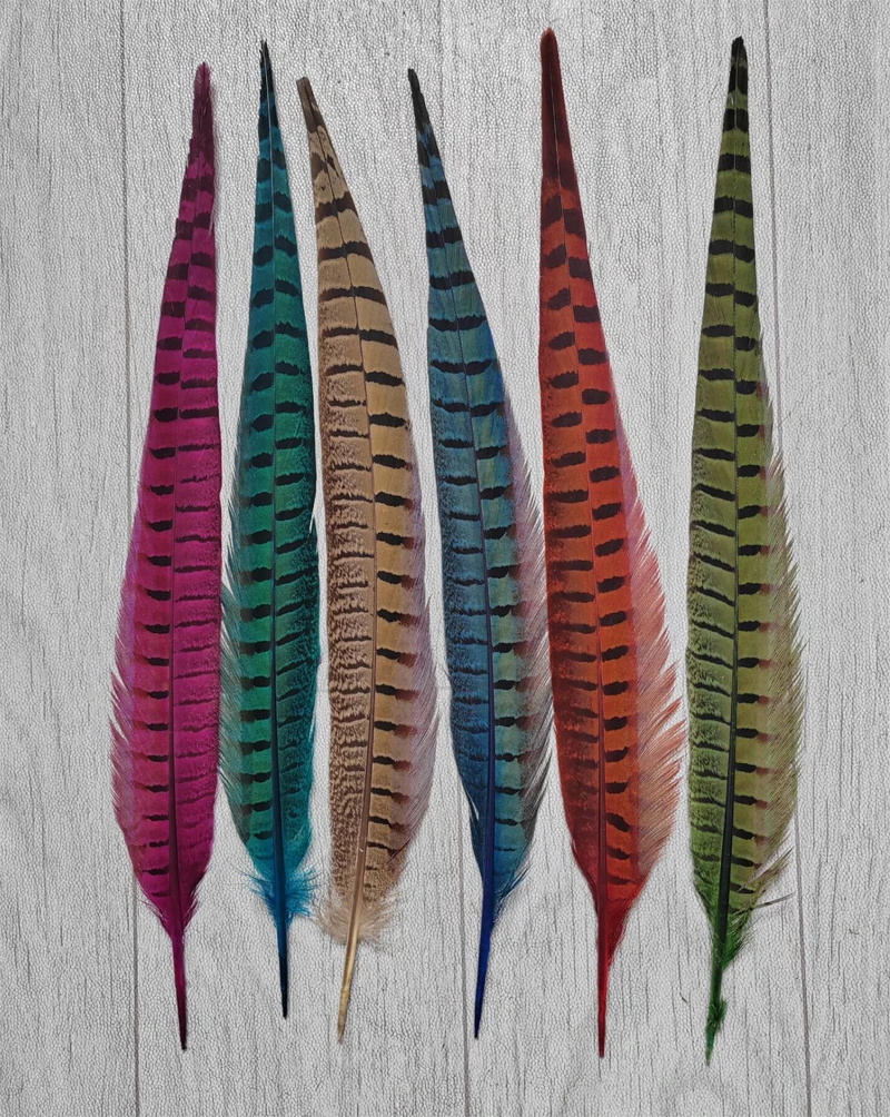 Plumas coloridas! 10 peças/lote! 14-16"(35-40CM) Penas de cauda de faisão anelado tingidas, caudas naturais de faisão anelado, 6 cores disponíveis