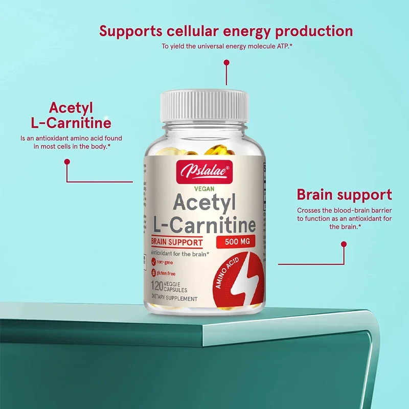 

Acetyl-L-Carnitine Capsules - Antioxidant, Supports Memory and Concentration, Supports Brain and Heart Health, Metabolism