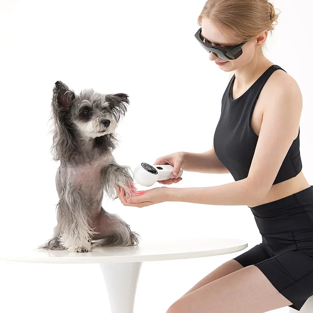 

Household Pet Use Medical Instrument Pain Relief 808nm 650nm Laser Physiotherapy Dog Treatment