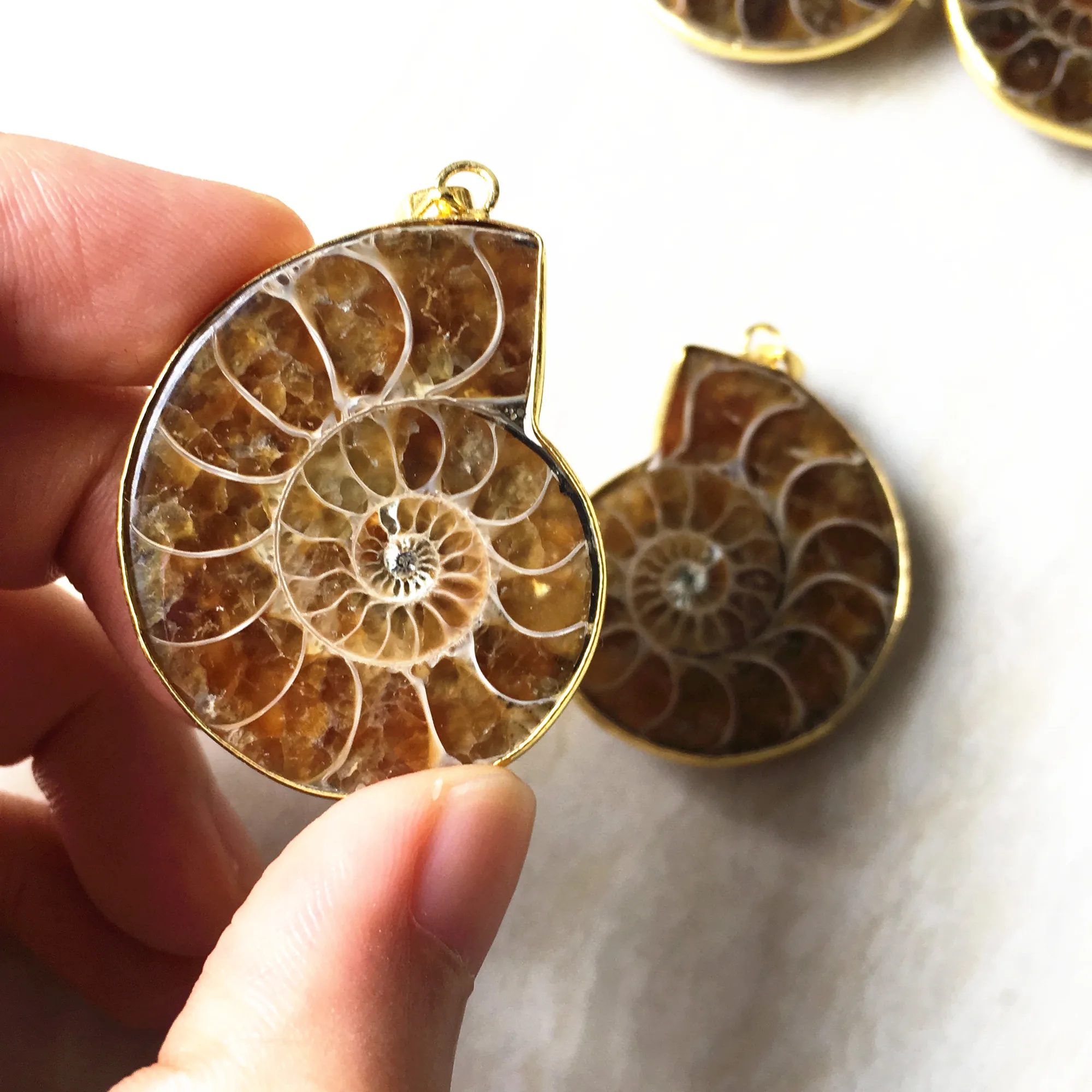 Gold Plated Natural Real Fossilized Ammonite Pendant Necklace 35-40mm