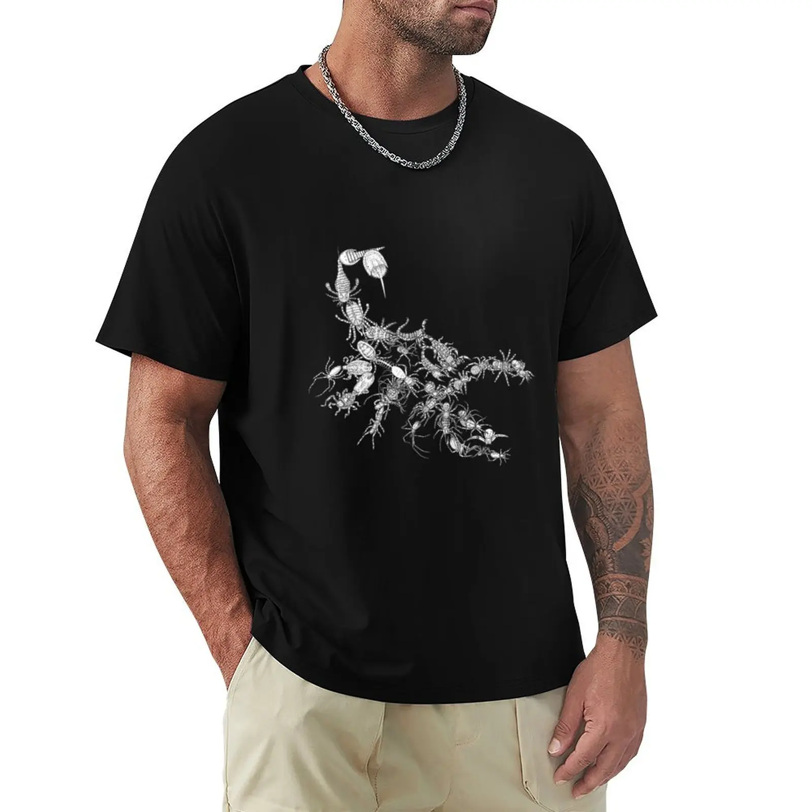 Arachnids - Spiders, Scorpions etc - Evolution T-Shirt t shirt man cotton T-Shirt