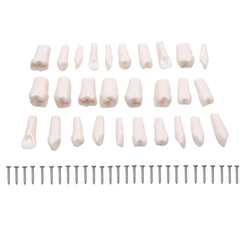 

28Pcs standard dentalss emulator replaceable
