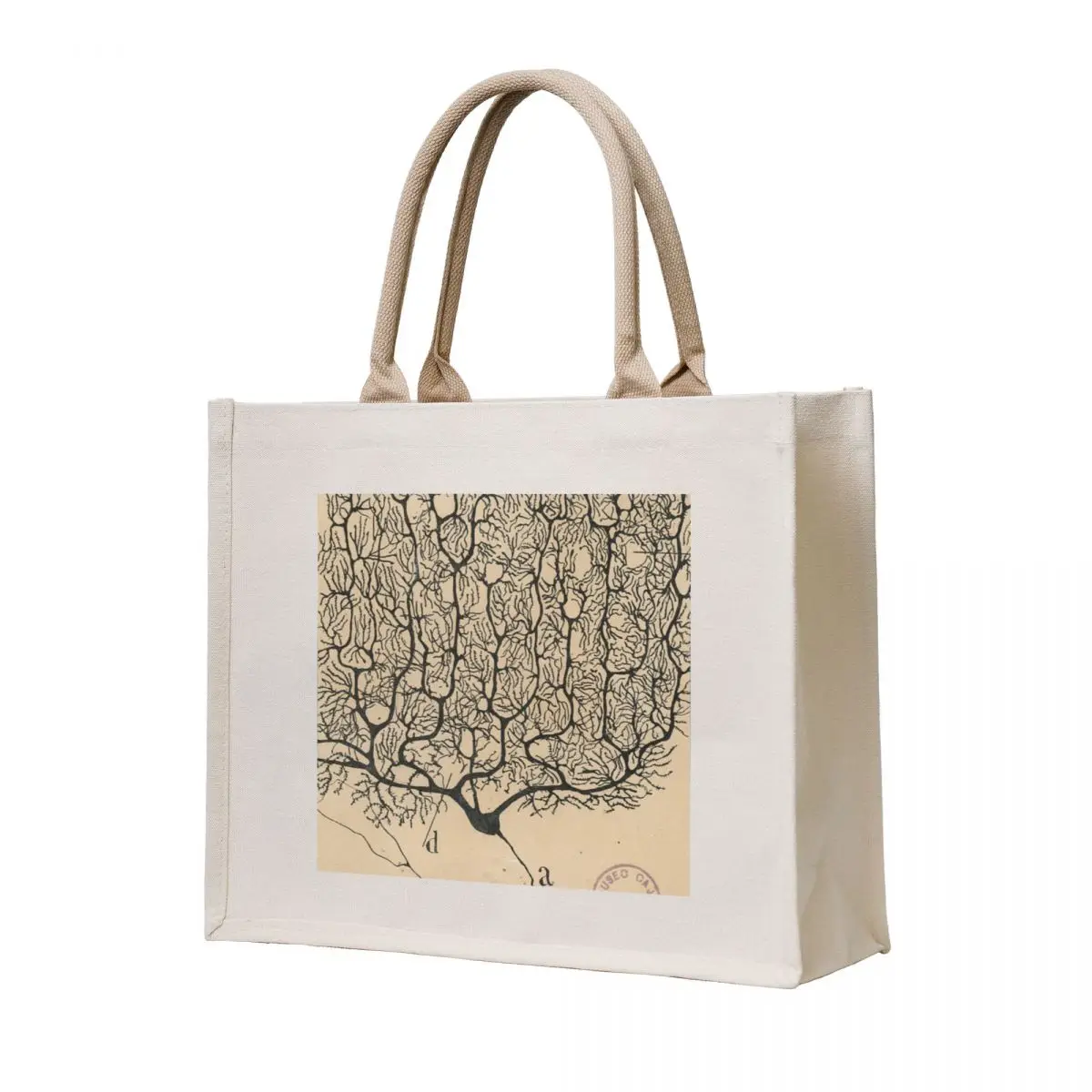 

Cajal's neurons sketch Tote Bag the tote bag Reusable bags Gift bags