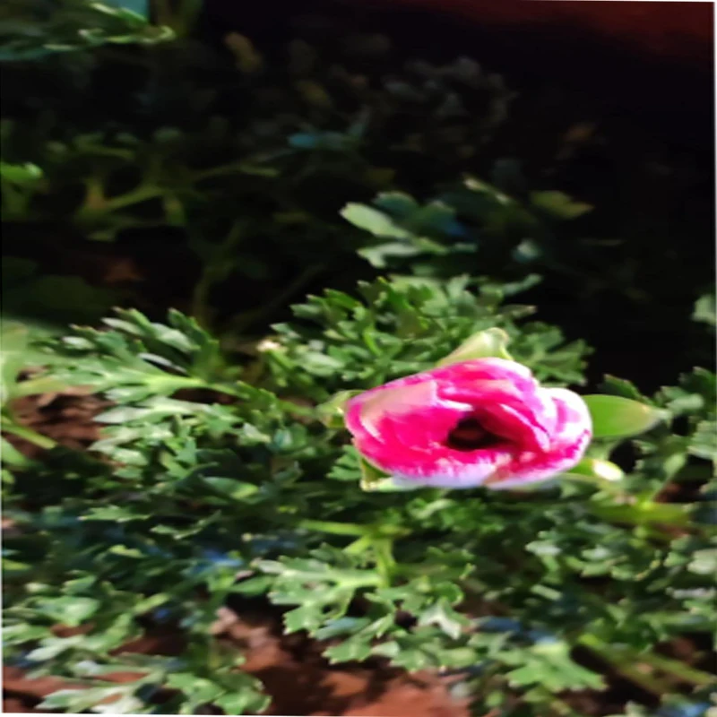 Axisflying MANTA10 "Lite 10 inch FPV Freestyle Drone Ture X Frame Kit 402 mm wielbasis T700 Carbon Compatibel 10 inch Propeller