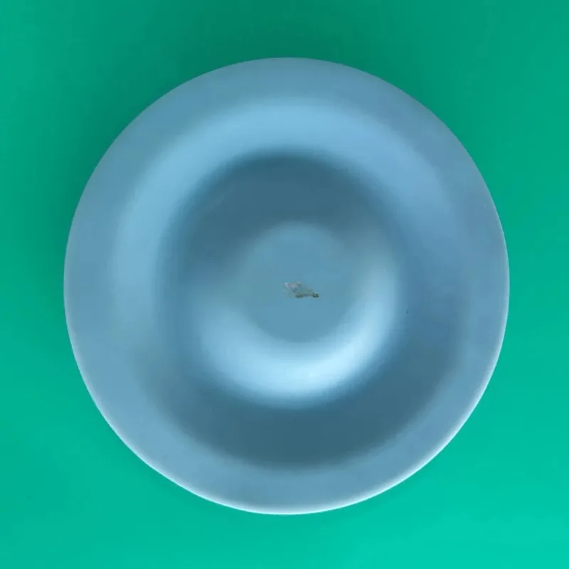 مضخة الحجاب الحاجز الهوائية الحجاب الحاجز 02-1164 المطاط مركب الحجاب الحاجز قطر 145 مللي متر #2