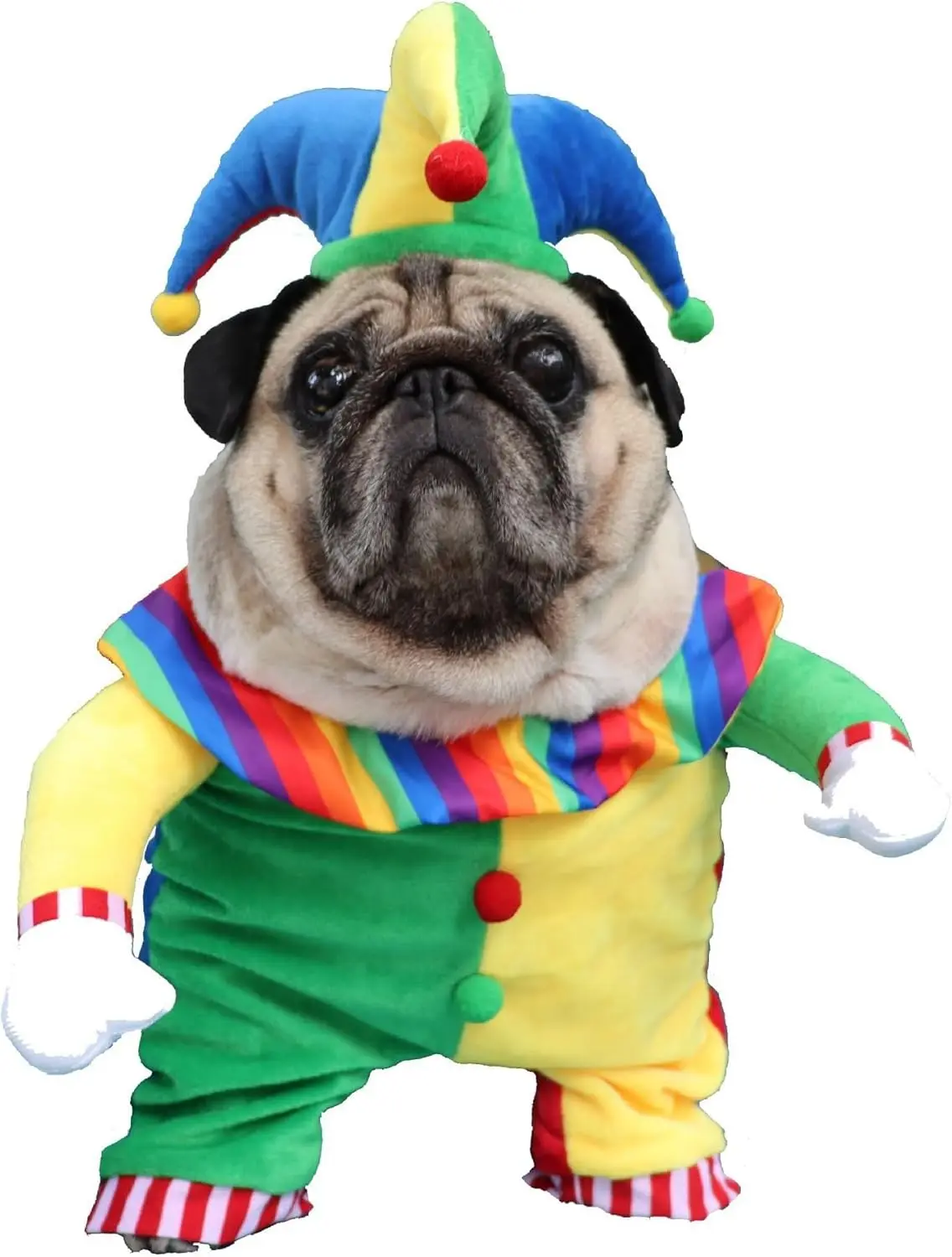 

Pet Dogs Clown Costume Halloween Pet Dress Up Costume Accessories Cat Photo Props Clothes Holiday Themed Pet Cosplay Clothes