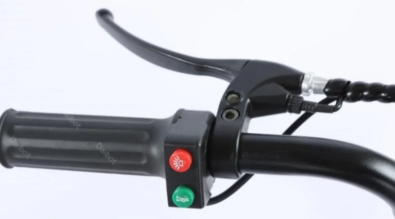 3-Rad 20-Zoll Fatbike für Erwachsene mit herausnehmbarem Akku, Elektrofahrrad 48V 500W, Elektro-Mountainbike mit Gepäckträger – Detail 8