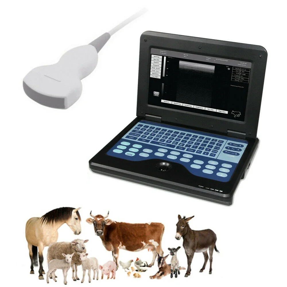 

CMS6000P2-VET Professional Medical Ultrasound Instruments For Veterinary Ultrasonography