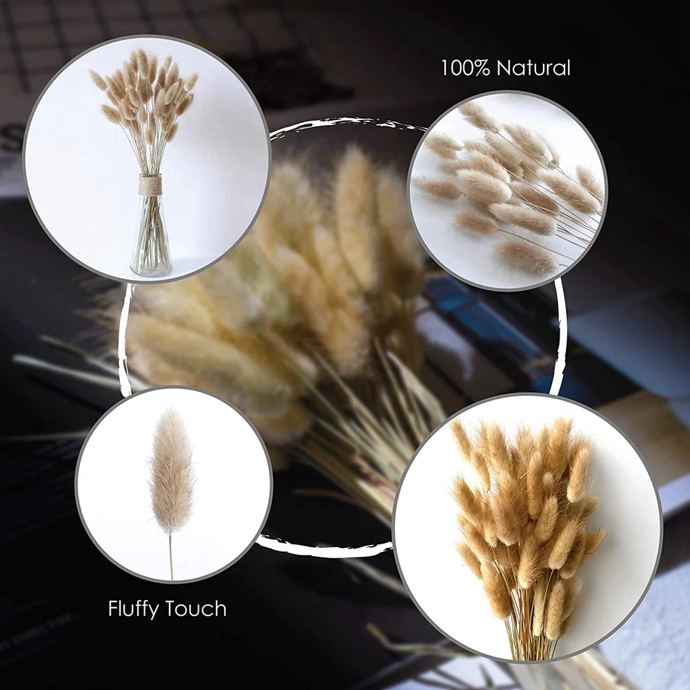 Natural Bunny Tail Grass Boho Fluffy White Pampas Grass Small Reeds Dried Flowers Bouquet Boho Indoor Living Room Decoration