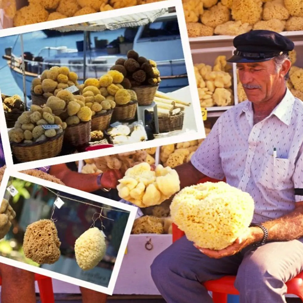 1~5PCS Environmentally Friendly Art Sponge Strong Water Absorption High Quality Texture Sponge Durable Professional Sponge