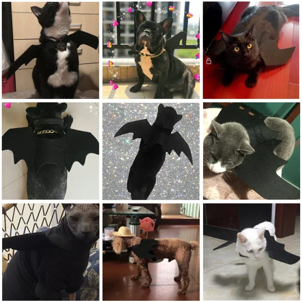 لطيف هالوين الخفافيش القرن الكلب القط مصاص دماء القرن القط زي حفلة الحيوانات الأليفة دور اللعب تغيير هالوين الحيوانات الأليفة القط كلب كبير الملحقات