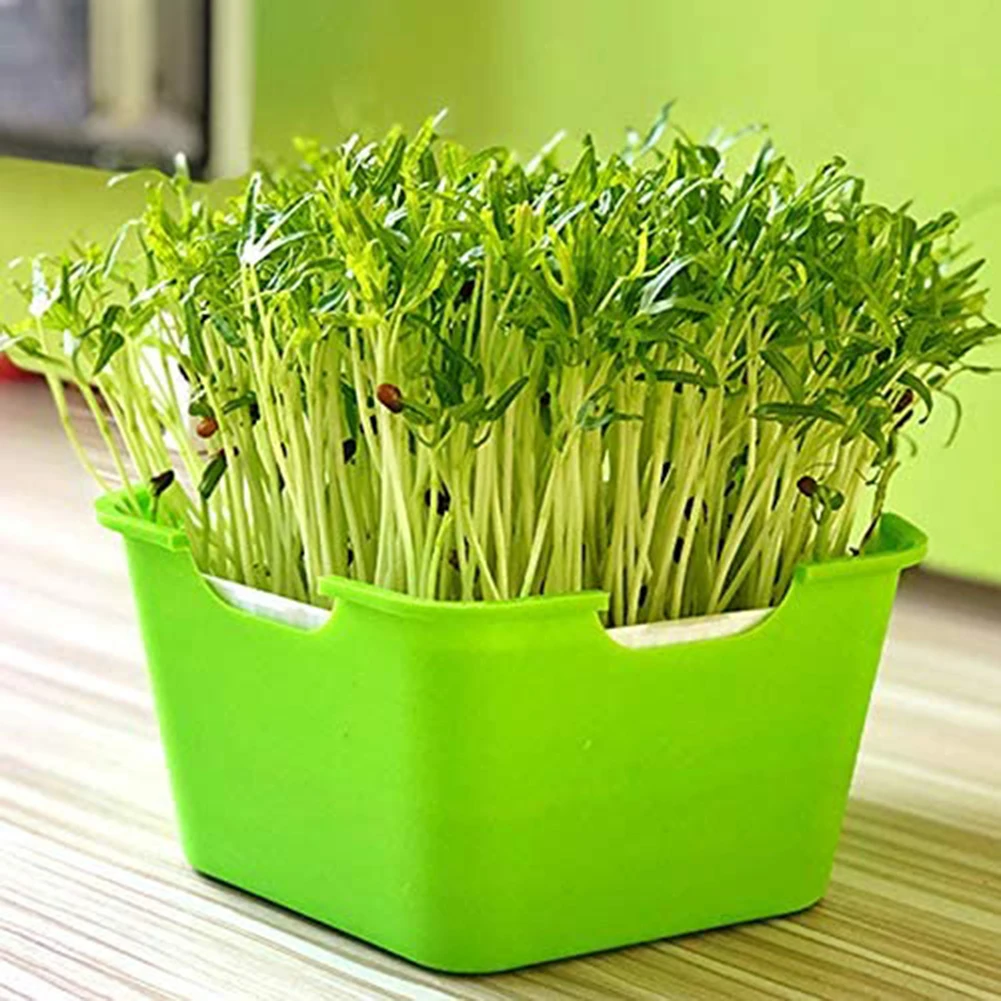 

Plant Germination Tray Portable Moisture Proof Planting Box Multifunctional Sprouting Seeds Tray