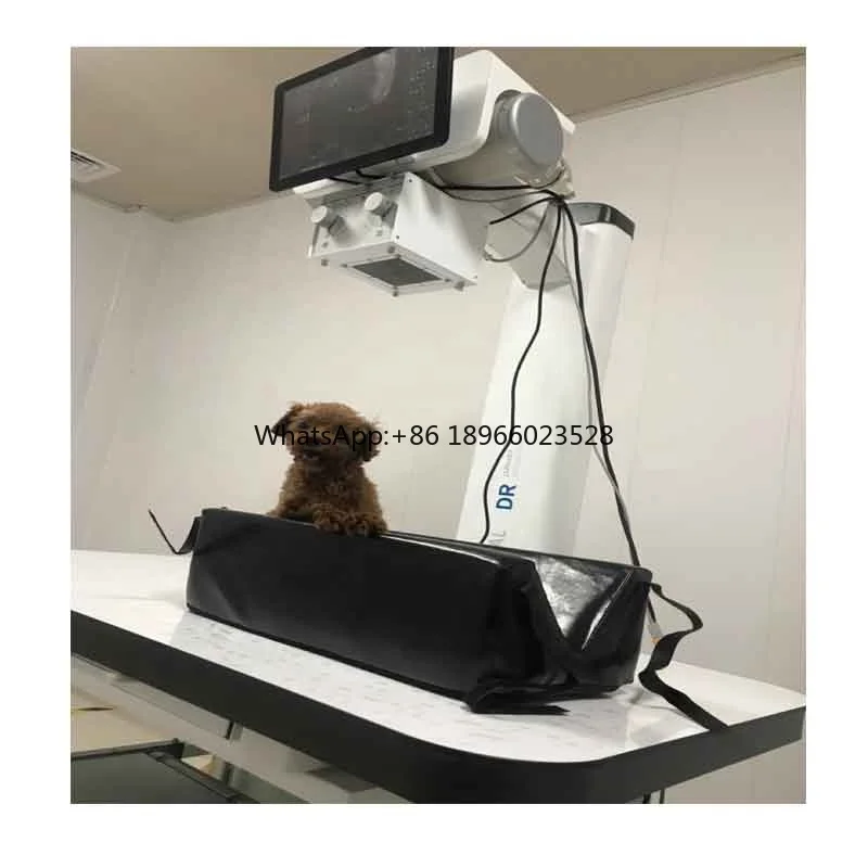 high performance  Real-time Imaging Veterinary Digital X-ray Machine System