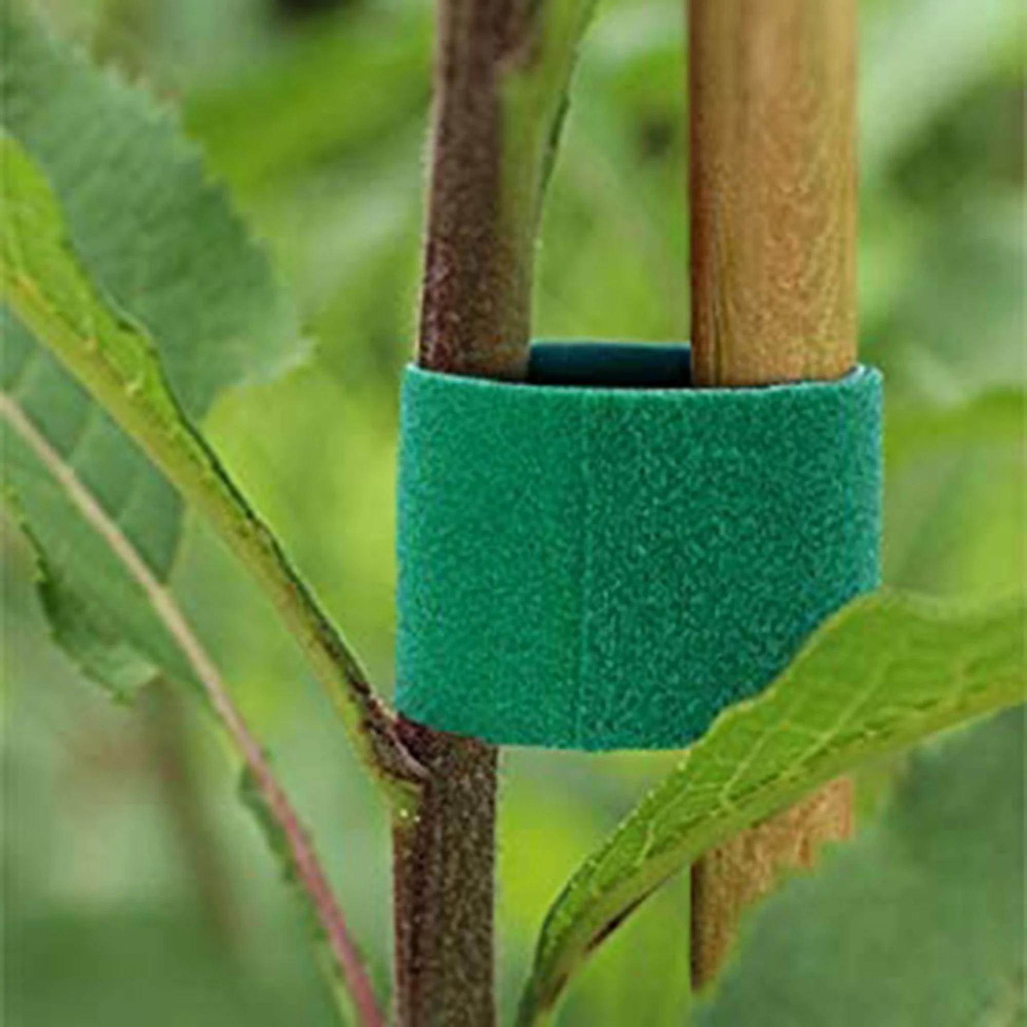 Cordel de nailon para plantas, lazo de gancho para jardín, envoltura de caña de bambú, accesorios de jardín, 7 colores