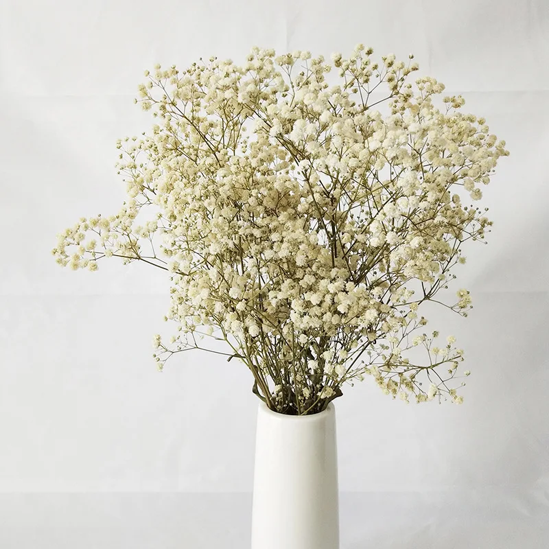 

50-100gNatural Dried Gypsophile Flower Wedding Decoration Arrangement Baby Breath Preserved Flowers Bouquet Hoom Christmas Decor