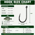 Size 8